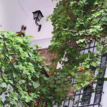 Innsa Pensión Valencia